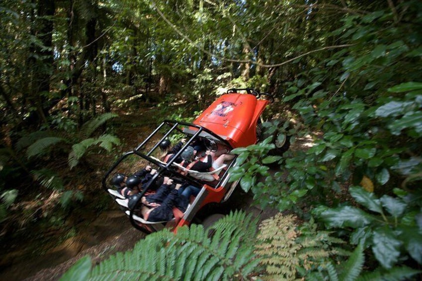 Monster 4X4 Thrill Ride at Off Road NZ