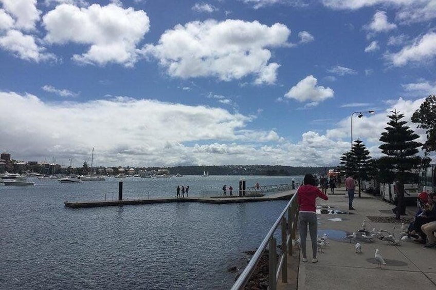 Rose Bay Ferry Wharf