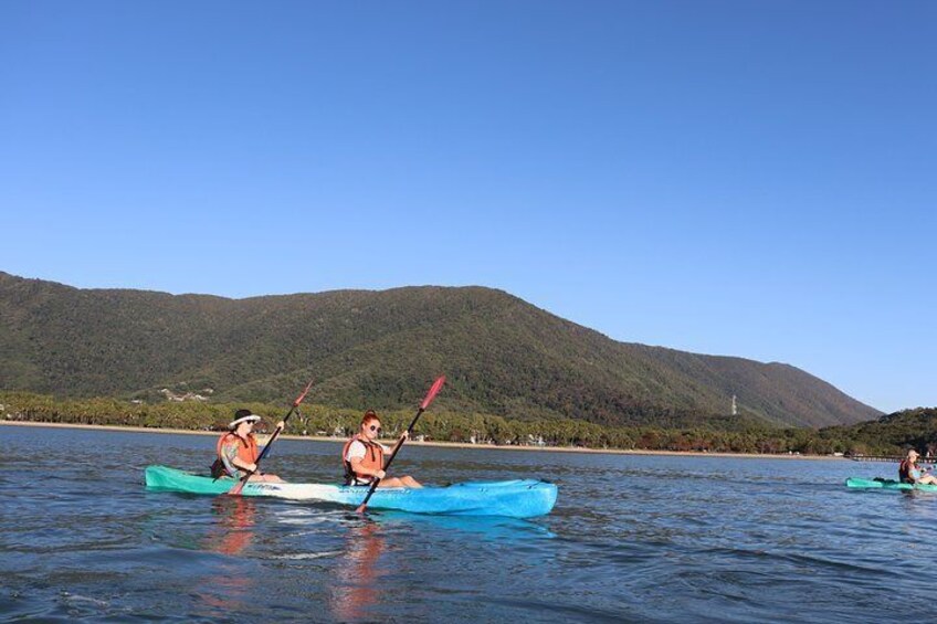 Kayak Turtle Tour from Palm Cove