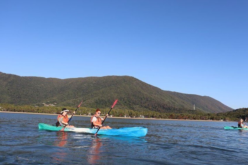 Kayak Turtle Tour from Palm Cove
