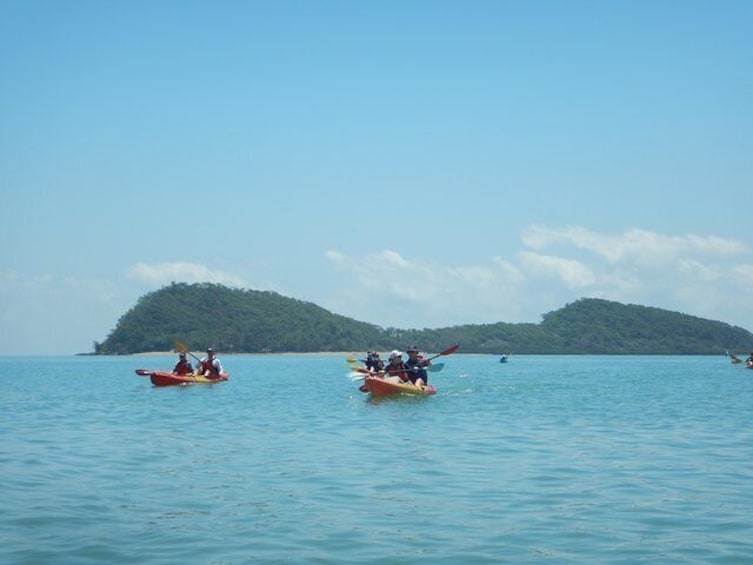 Kayak Turtle Tour from Palm Cove