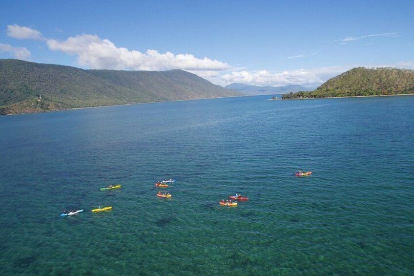 Kayak Turtle Tour from Palm Cove