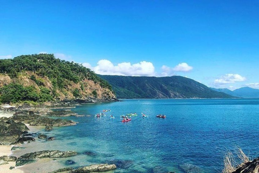 Kayak Turtle Tour from Palm Cove