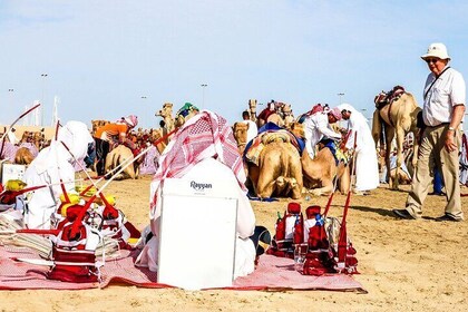 Sheikh Faisal, Camel Race Track visit