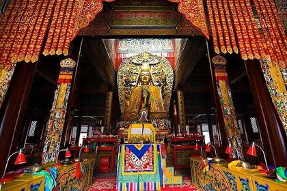 Tour de medio día al templo de Lama y el templo de Confucio en Beijing