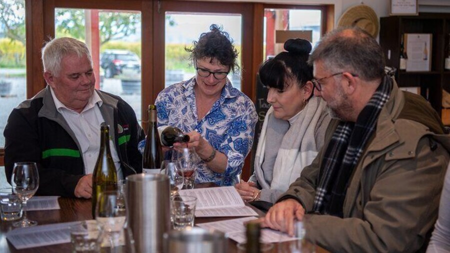 Your host is an informative and fun wine tour guide