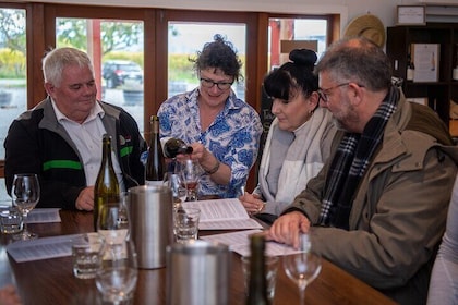 Proef de Valley Wine Tour in Marlborough met wijnproeverij