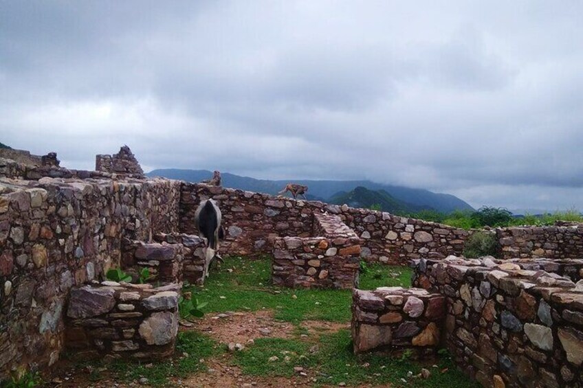 Guided Tour To Chand Baori (Step well) & Bhangarh Excursion