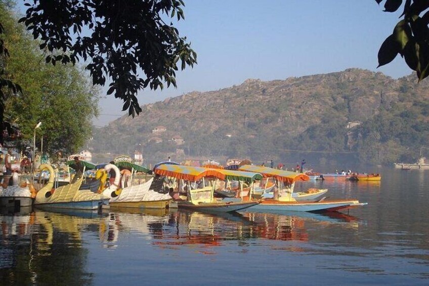 One Day Guided Mount Abu Local Sightseeing Trip by Cab