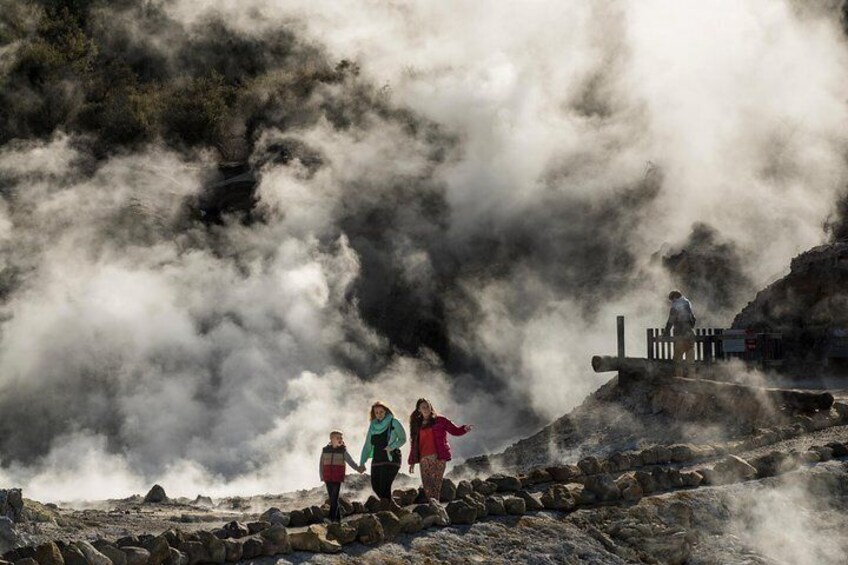 Hells Gate Geothermal Walk