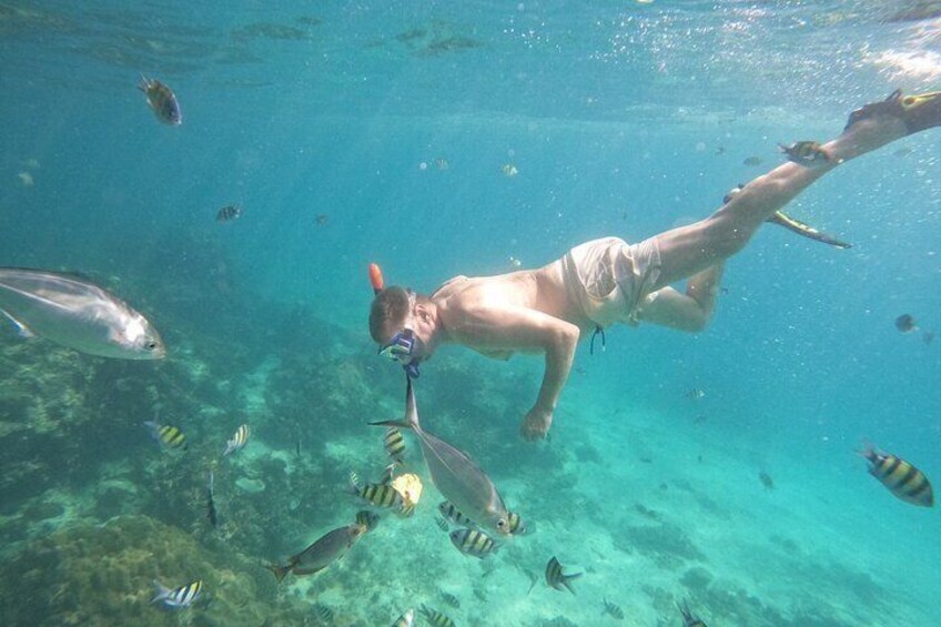 Phi Phi Don