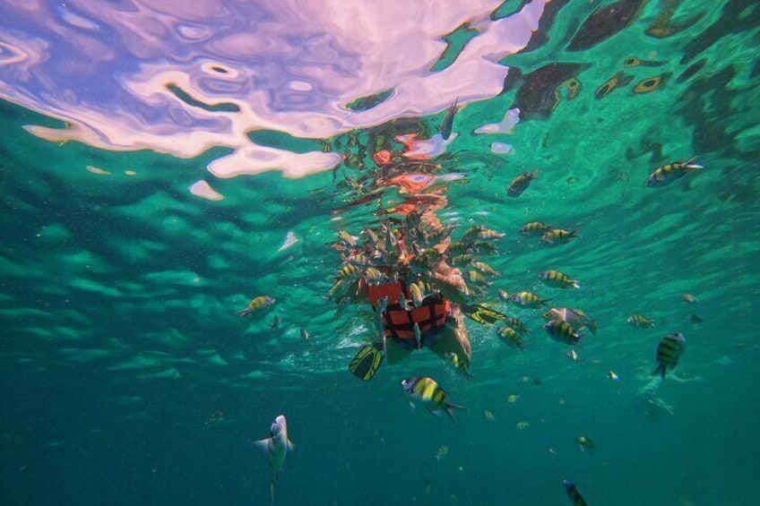 Bamboo Island