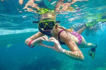 Best of Phi Phi Islands Snorkelling Tour from Phuket