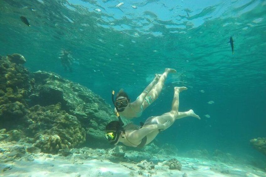 Enjoy snorkeling 