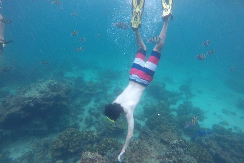 Phi Phi Islands Adventure Day Trip with Lunch