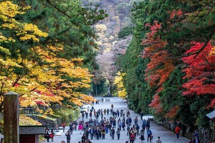 Nikko Private Customised Half Day Tour