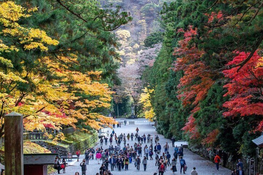 Nikko Private Customizable Half Day Tour