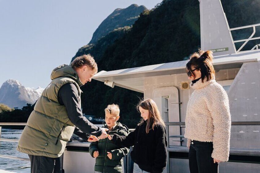 Milford Sound Cruise with Round-Trip Flights from Queenstown