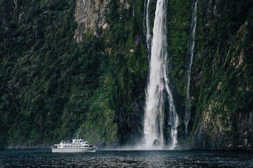 Milford Sound Coach, Cruise and Flight Sightseeing Tour from Queenstown