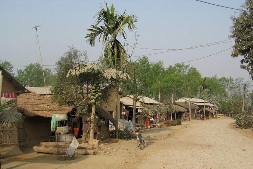 Tharu village Suaraha