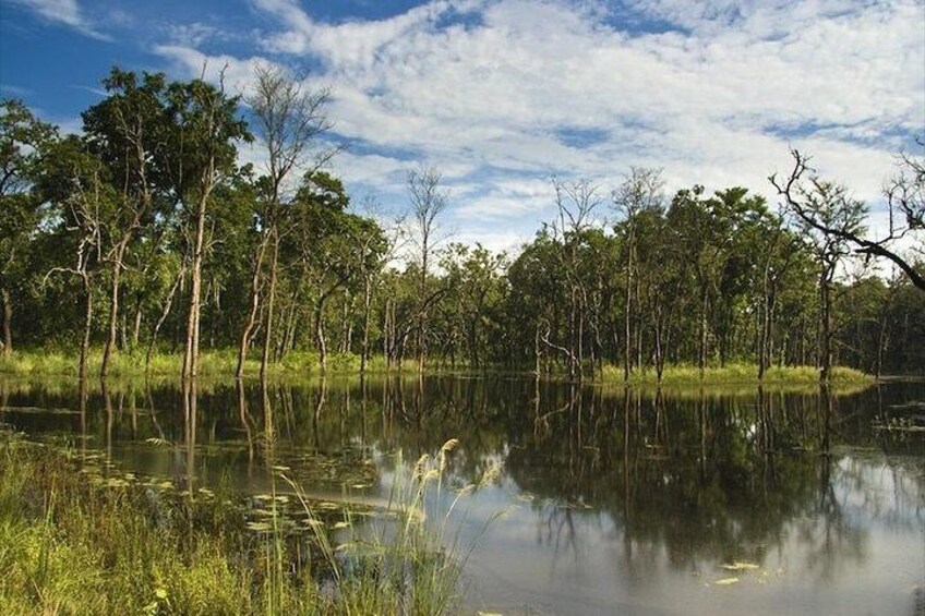 one of the many wetlands of Chitwan National Park
