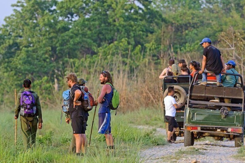 Jungle Safari Tour in Chitwan National Park