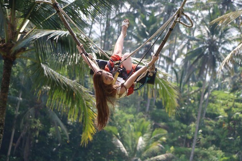 Option to Try the Amazing Bali Swing