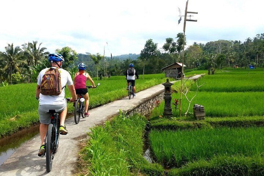 The Incredible Sites of Bali