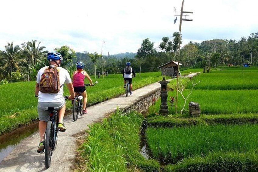 Half-Day Electric Bike Tour of Ubud