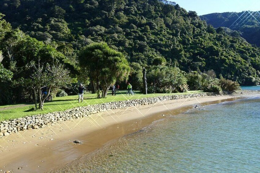 Ship Cove Beach 