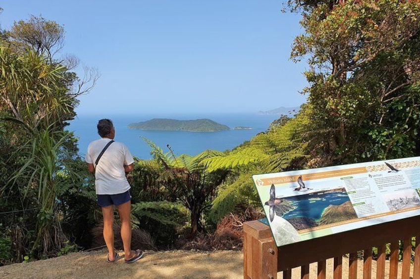 Motuara Island from Summit