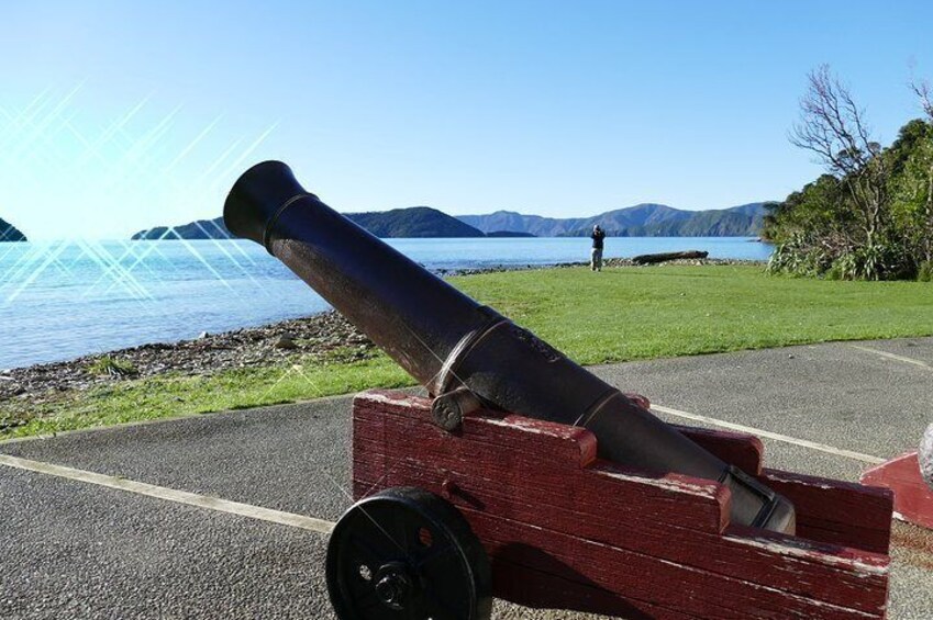 Cannon at Ships Cove 