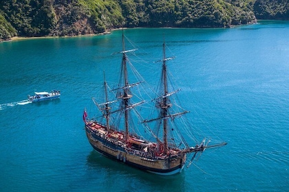 Captain Cook and Dolphin Cruise