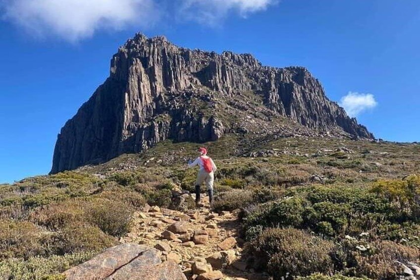 Small-Group Cradle Mountain Day Tour from Devonport, Ulverstone or Burnie