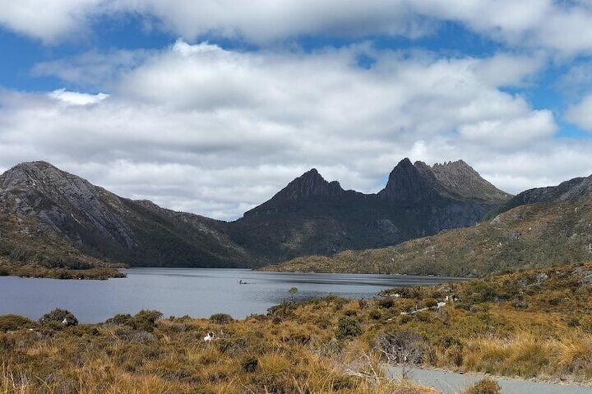 Cradle Mountain Sightseeing Tour from Devonport or Burnie