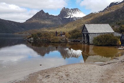 Cradle Mountain Sightseeing Tour from Devonport or Burnie