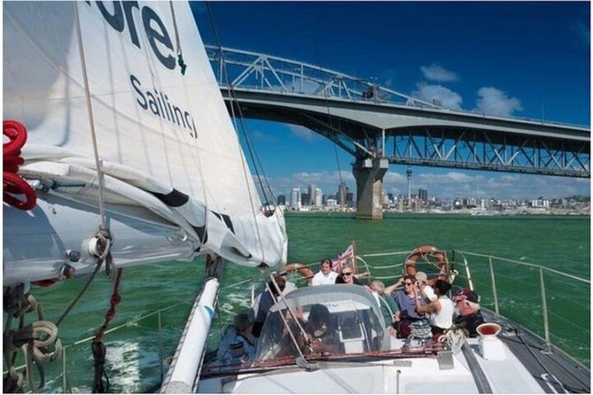 Auckland Harbour Sailing Experience