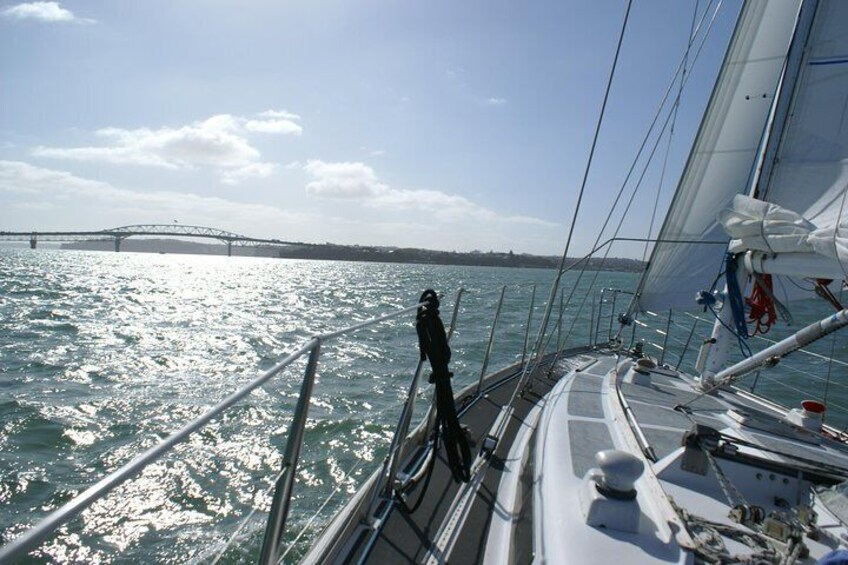 Auckland Harbour Sailing Experience