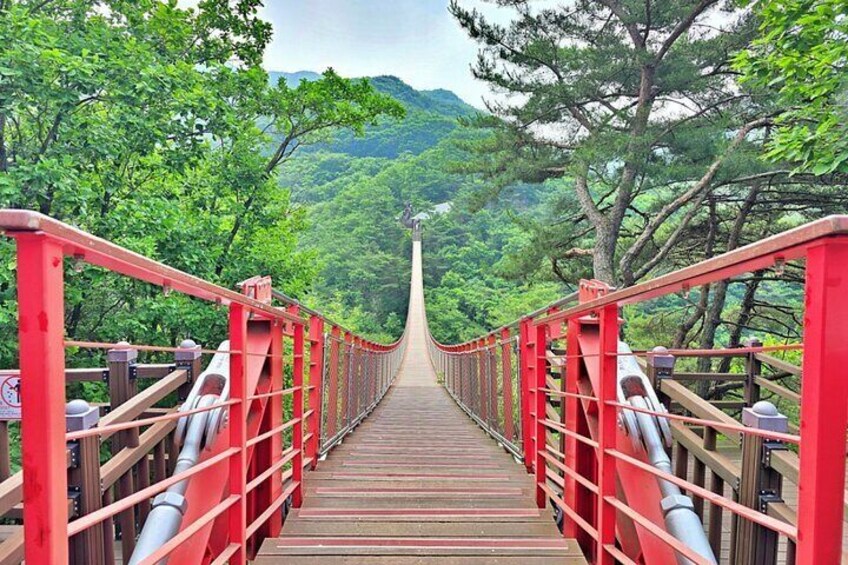 DMZ Full Day Tour with Suspension Bridge