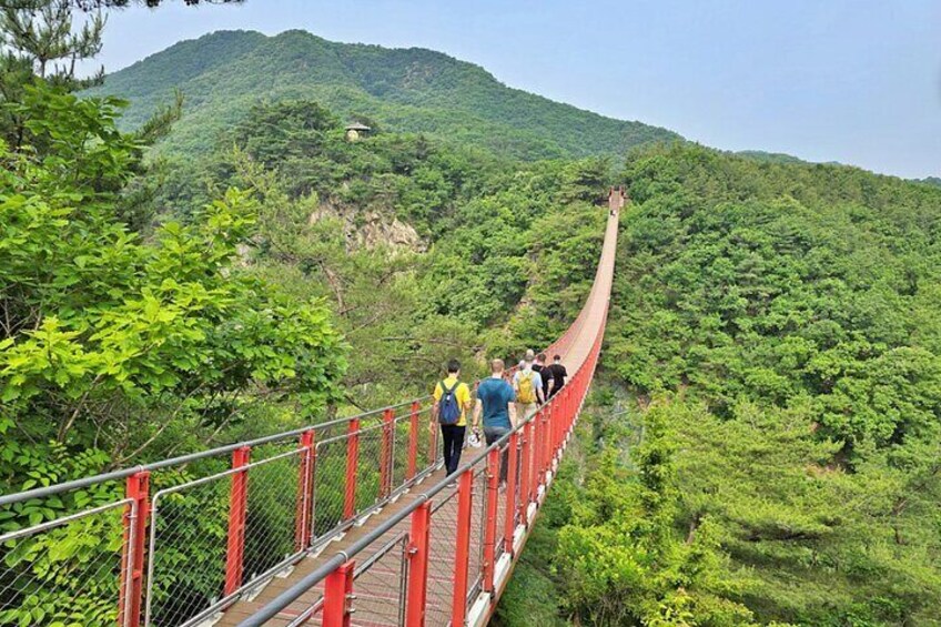 Korean DMZ Tour with Expert Tour Guide from Seoul - No shopping