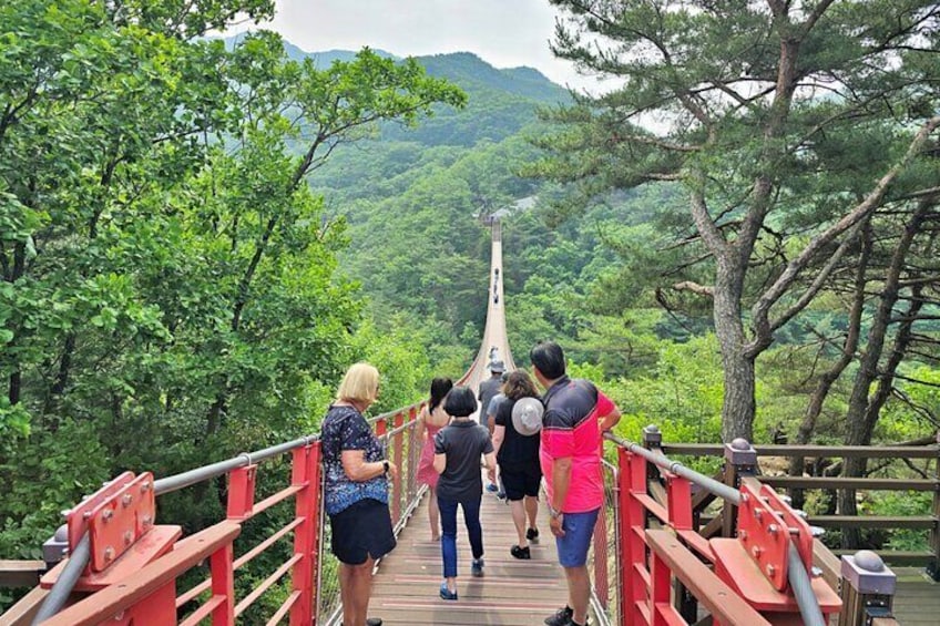 Korean DMZ Tour with Expert Tour Guide from Seoul - No shopping