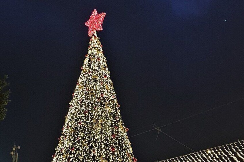 Christmas Tree in Bethlehem