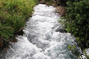 Far North - Dan, Banias Banias Waterfall and Nimrod National Parks