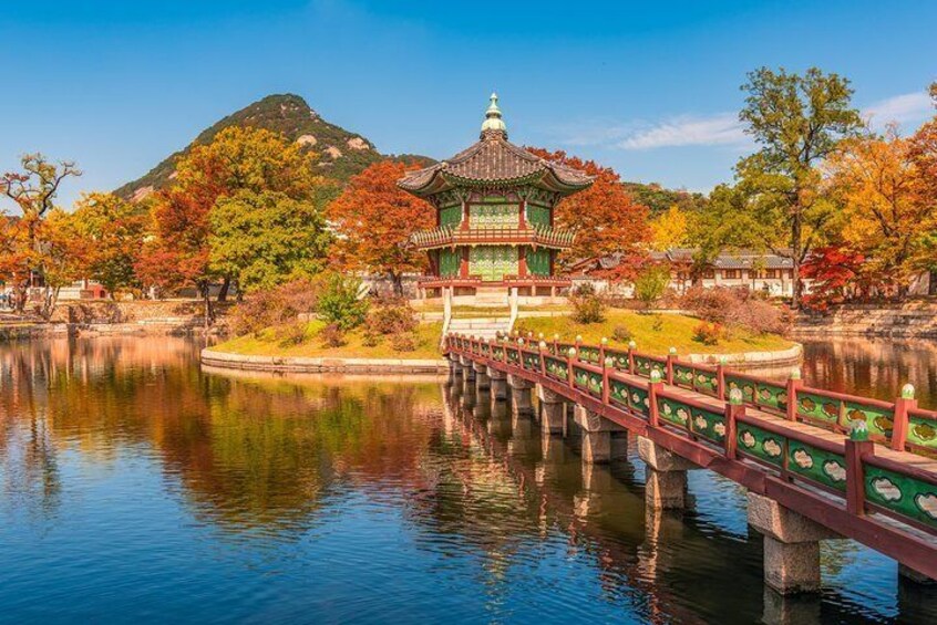 Seoul Full Day Tour with a Local: 100% Personalized & Private