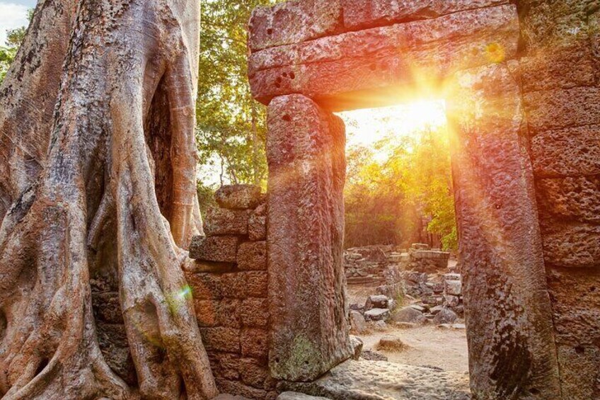 Ta Prohm Temple