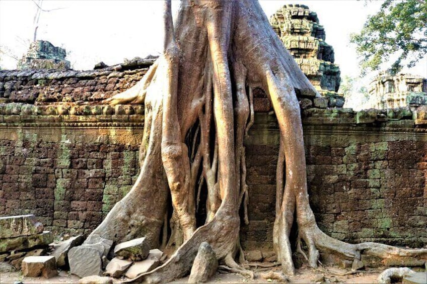 Private Angkor Temples Walking Tour from Siem Reap