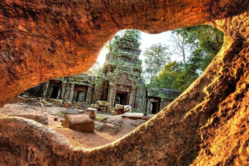 Ta Prohm Temple 