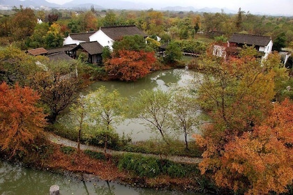Half-Day Hangzhou Xixi Wetland Park Private Tour with Boat Ride