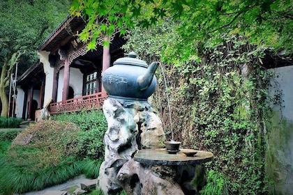 Half-Day Hangzhou Tea Culture and Hupao Spring Private Tour