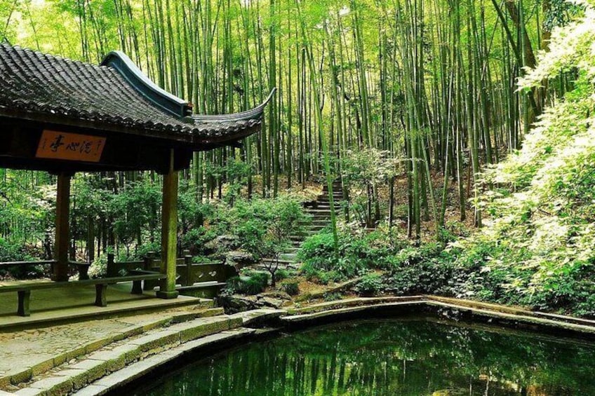 Yunxi Bamboo Forest
